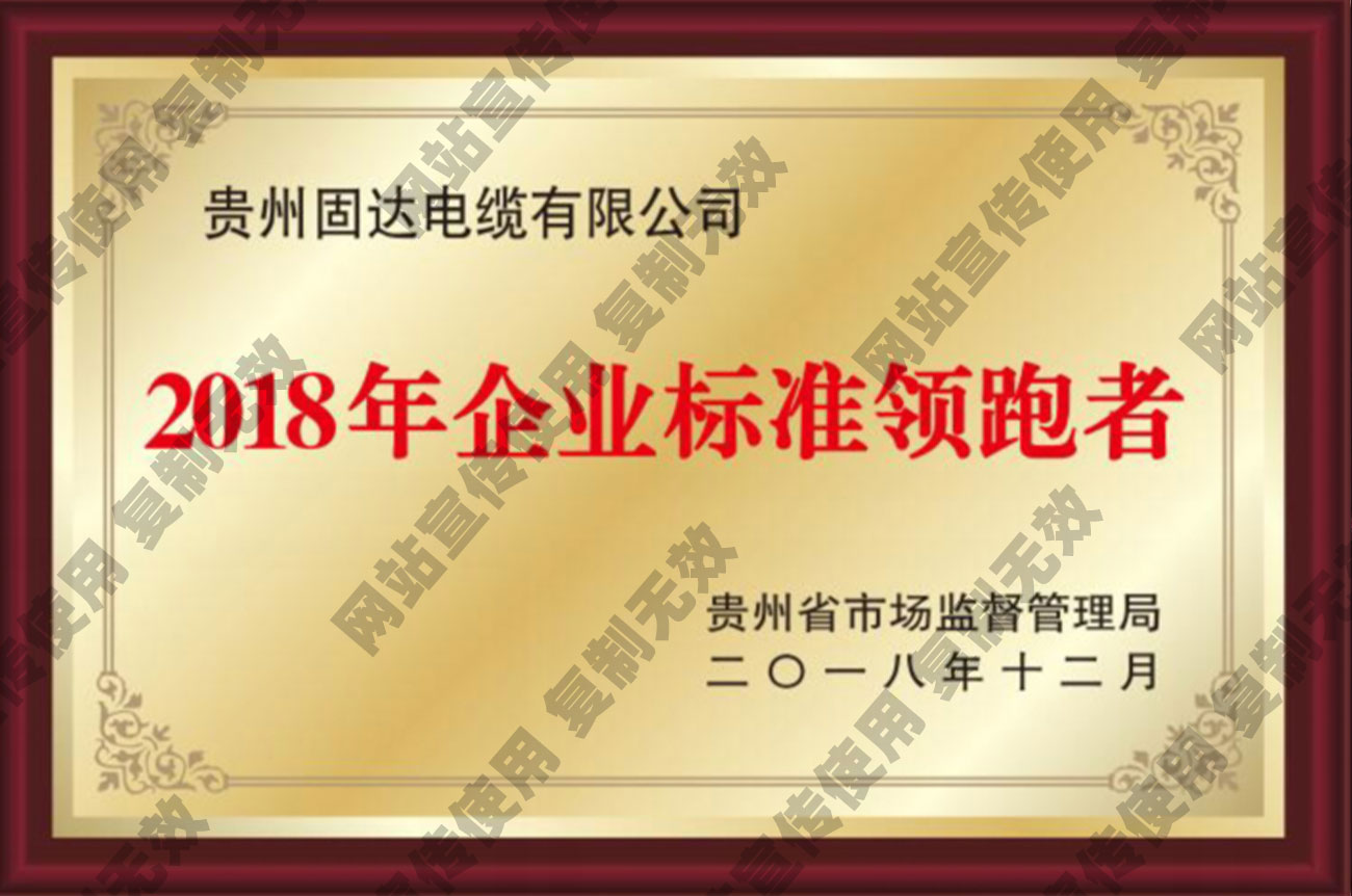 2018年企业标准领跑者