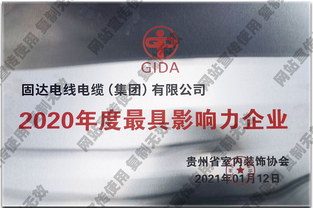 2020最具影响力企业